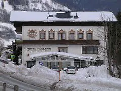 Hollern 3*